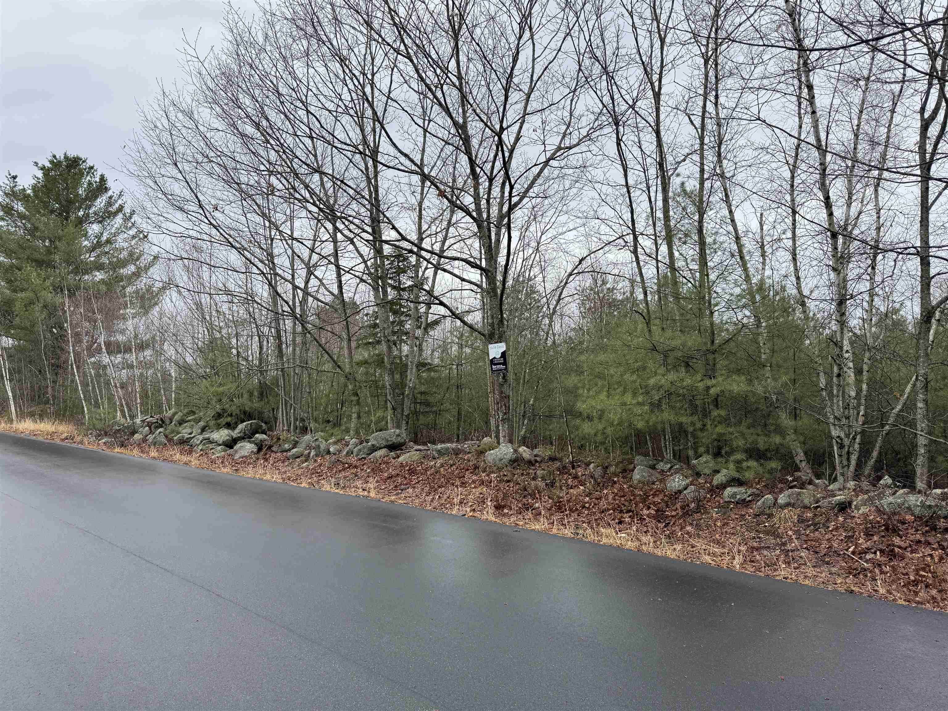 Tbd Mason Road Milton, NH 03851 - Photo 3 of 9