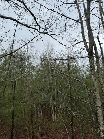 $272,000 | Tbd Mason Road, Milton, NH 03851