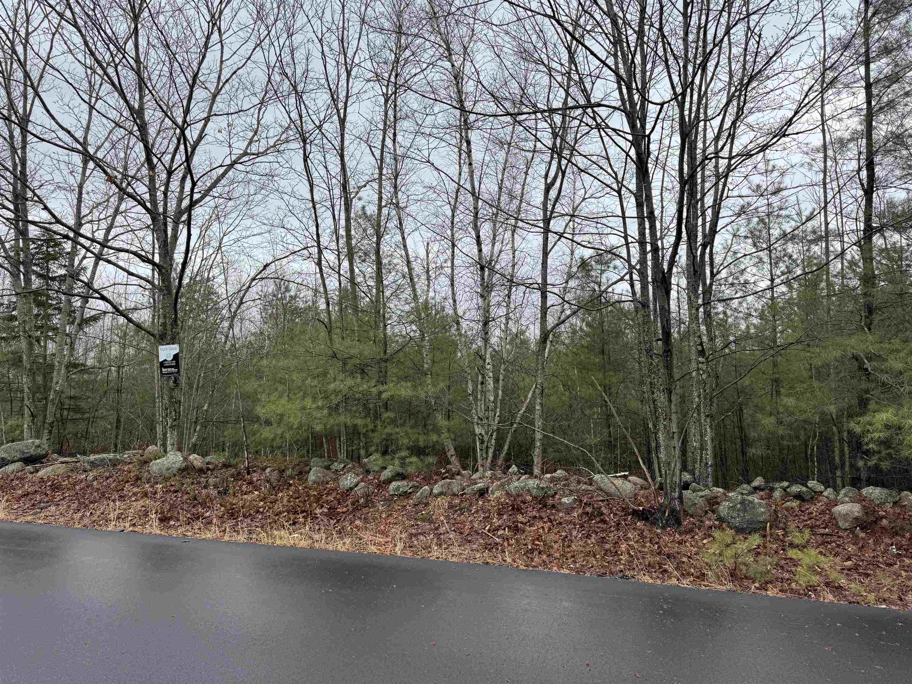 Tbd Mason Road Milton, NH 03851 - Photo 7 of 9