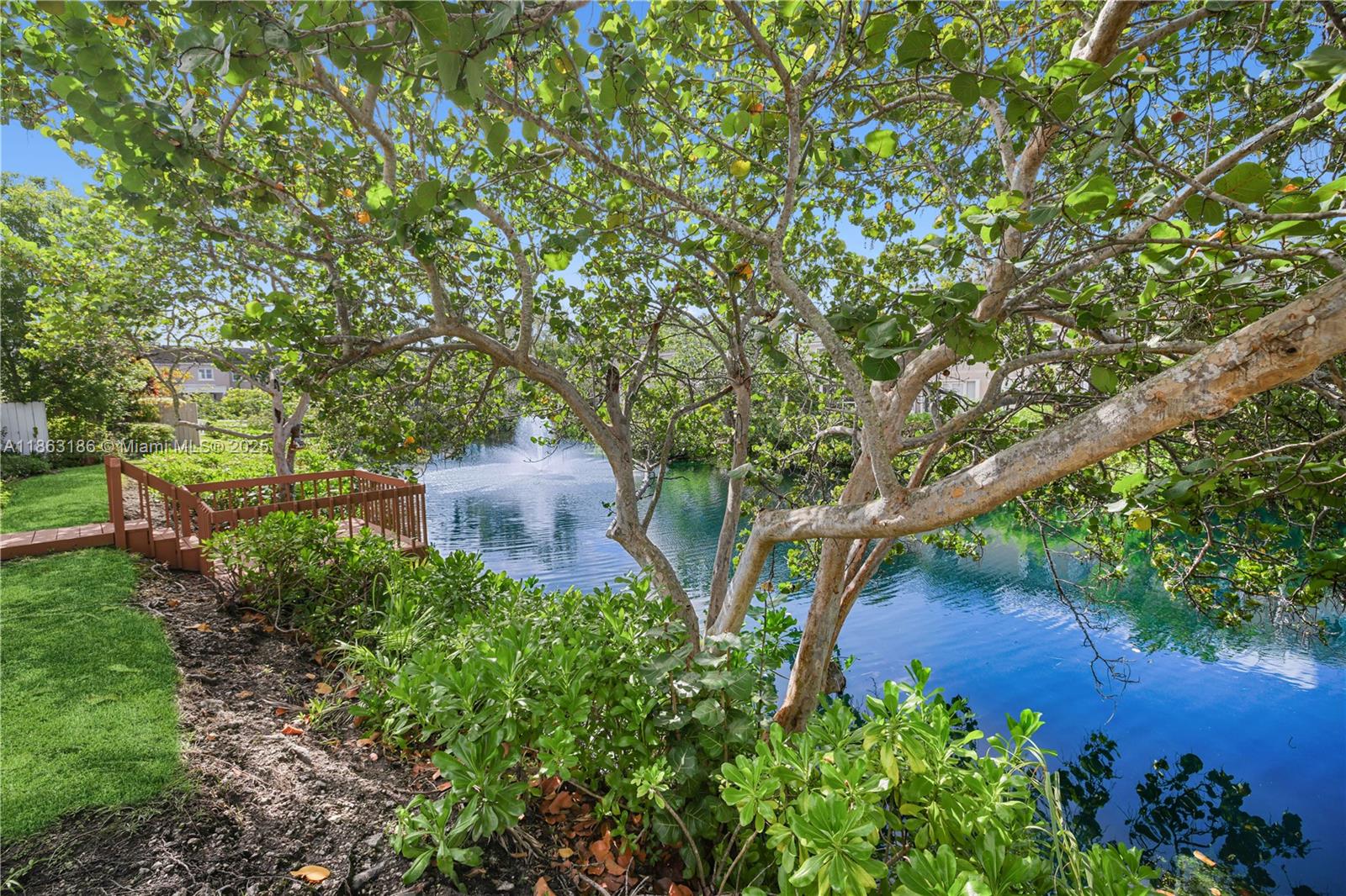 7150 Southwest 55th Terrace West Miami, FL 33155 - Photo 3 of 24 a view of a garden with plants and large trees