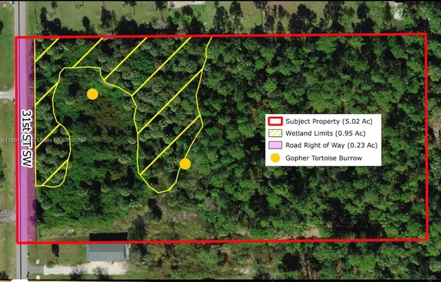 a view of a yard with plants