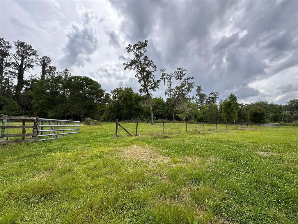 6800 Northeast 175th Street Road Citra, FL 32113 - Photo 17 of 27 a view of a park