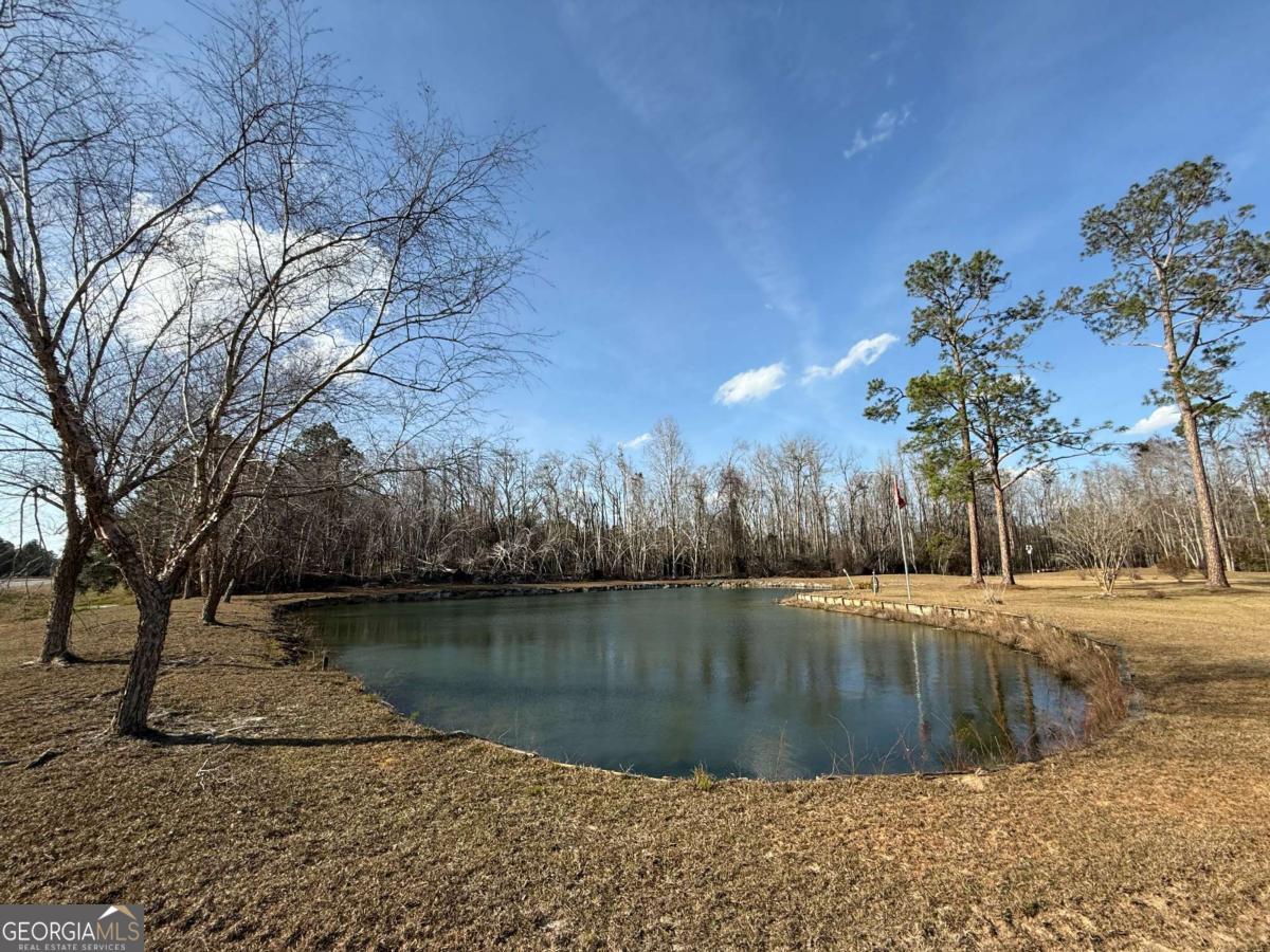 5686 Golden Isle West Baxley, GA 31513 - Photo 11 of 122