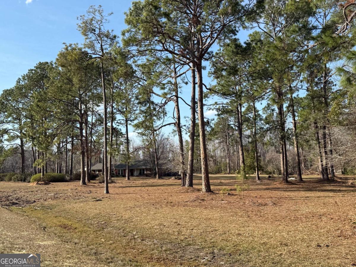 5686 Golden Isle West Baxley, GA 31513 - Photo 4 of 122 a view of outdoor space with trees
