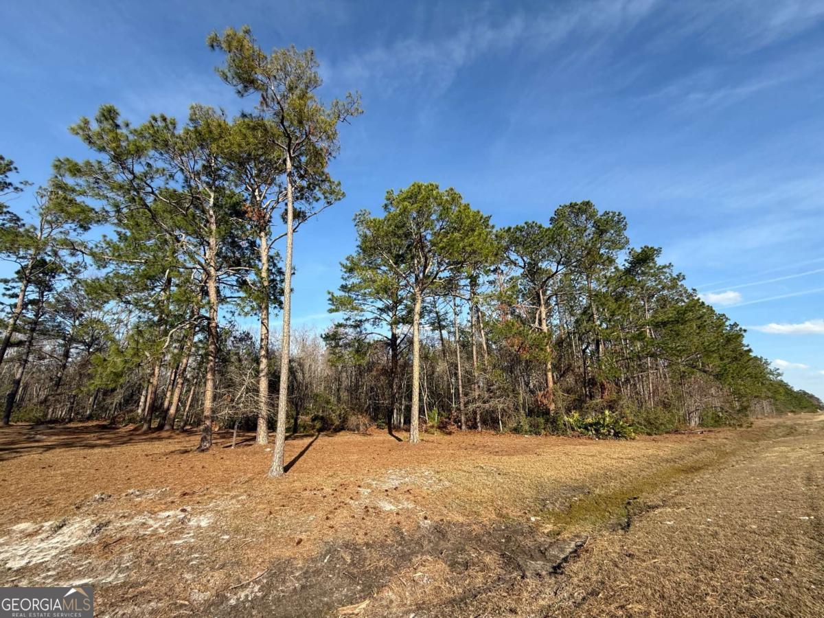 5686 Golden Isle West Baxley, GA 31513 - Photo 5 of 122 a view of a yard with plants and trees