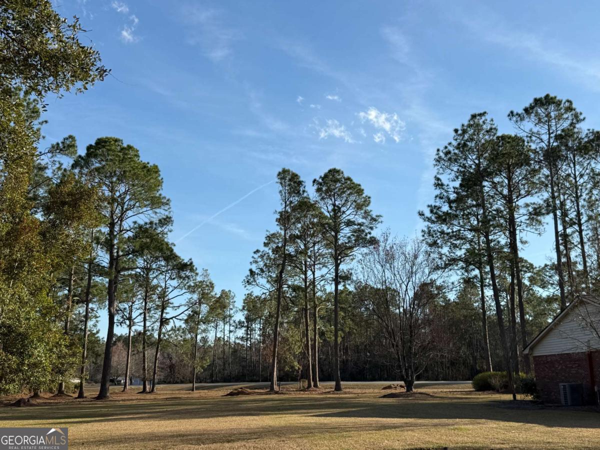 5686 Golden Isle West Baxley, GA 31513 - Photo 100 of 122