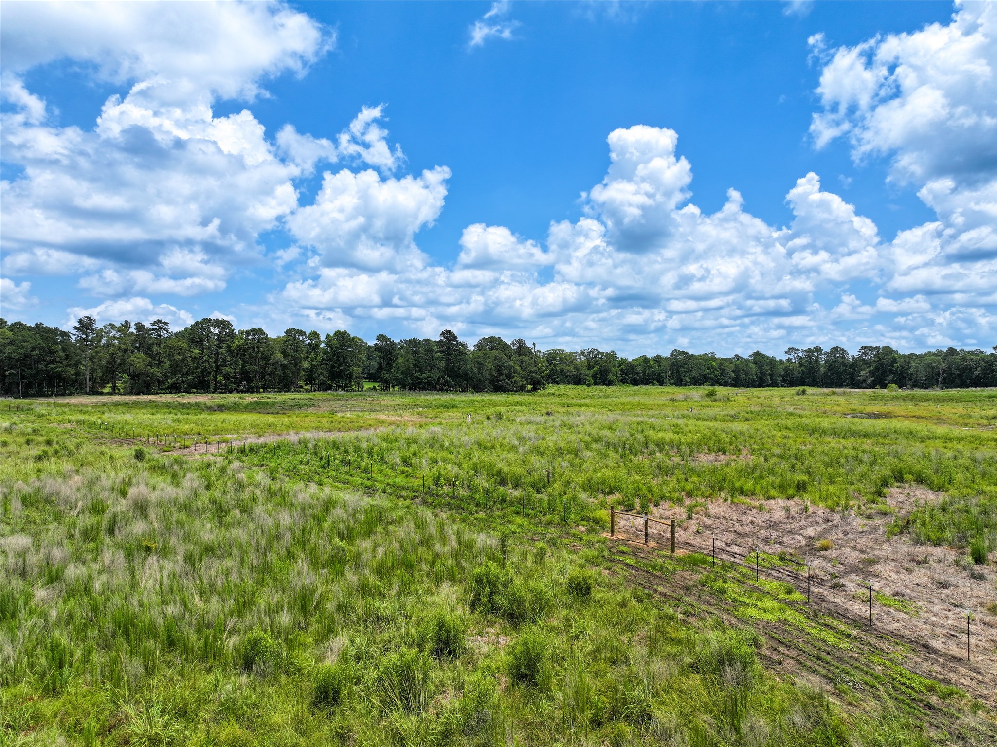 0 County Road 547 Call, TX 75933 - Photo 20 of 26