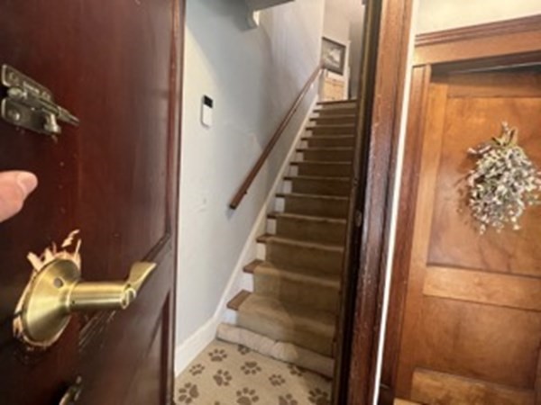 12 Priscilla Road Boston, MA 02135 - Photo 17 of 36 Gallery Image 17