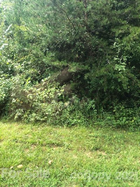 2064 Crown Drive Conover, NC 28613 - Photo 3 of 5 a view of a lush green forest