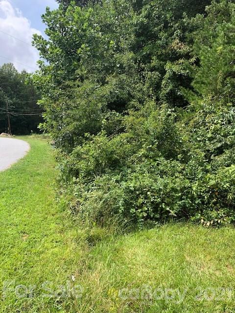 2064 Crown Drive Conover, NC 28613 - Photo 4 of 5 a view of a garden