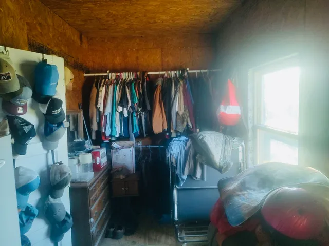 a view of a flower in a yard