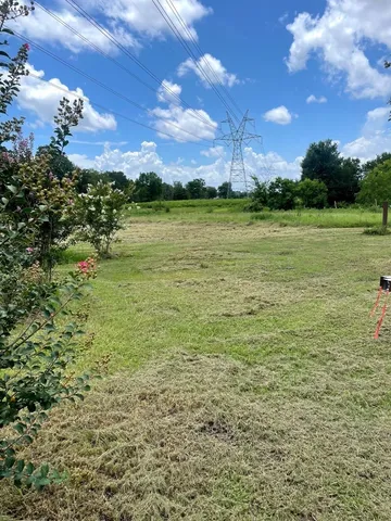 a view of a with large trees