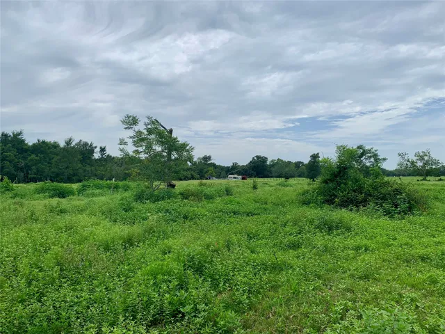 $280,000 | 7170 Breezewood Drive, Iola, TX 77861