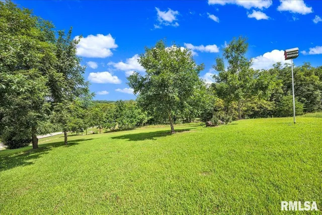 $2,200,000 | 1600 Manson Height Road, Dahinda, IL 61428