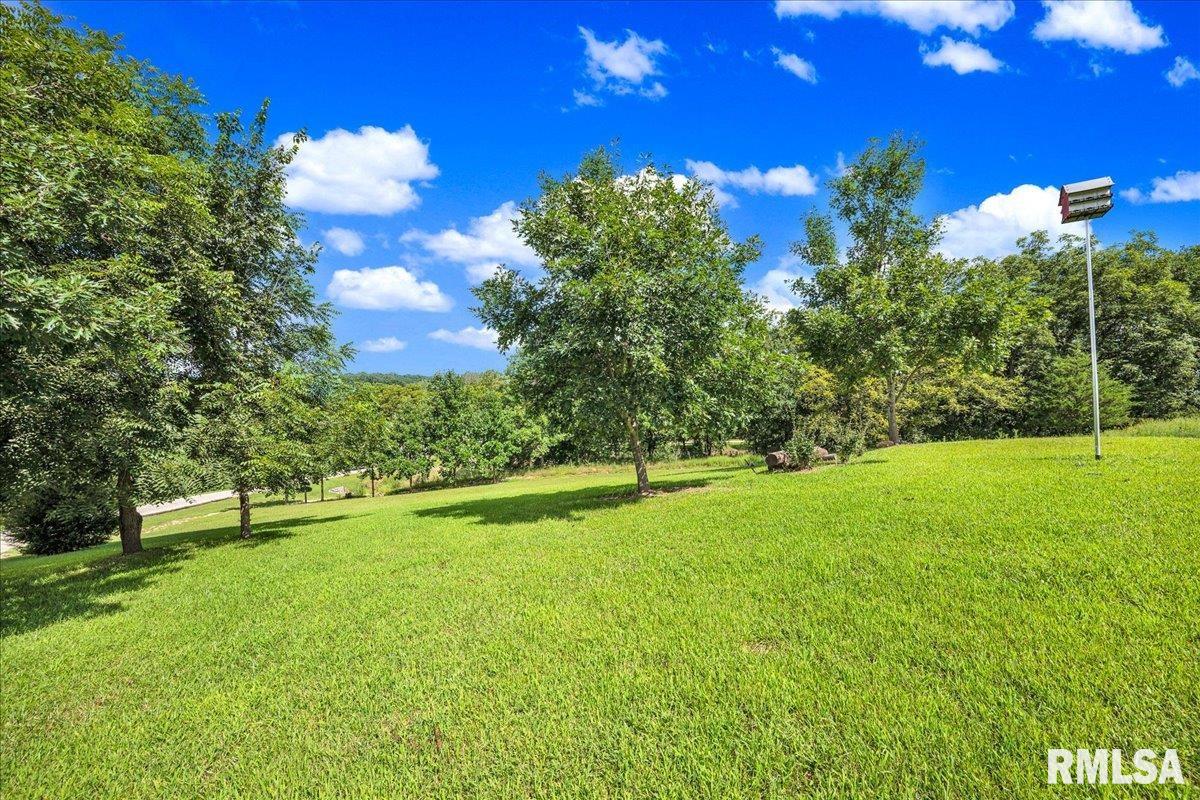 1600 Manson Height Road Dahinda, IL 61428 - Photo 39 of 98