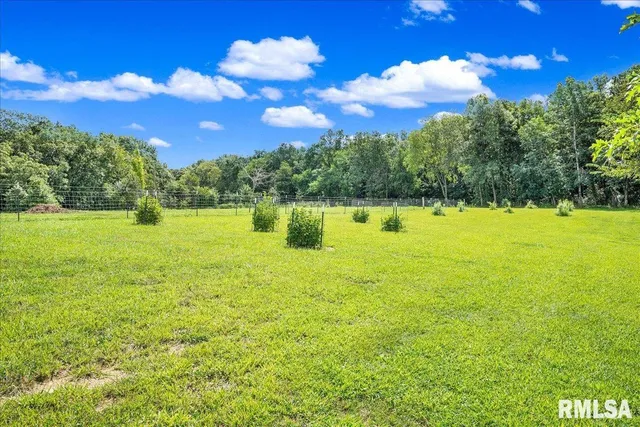 $2,200,000 | 1600 Manson Height Road, Dahinda, IL 61428