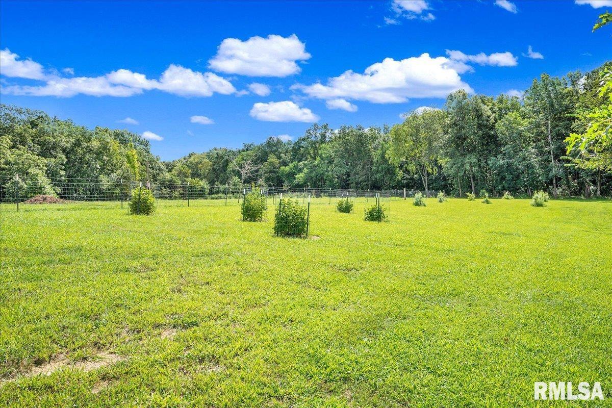 1600 Manson Height Road Dahinda, IL 61428 - Photo 43 of 98