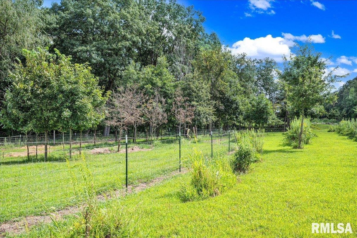 1600 Manson Height Road Dahinda, IL 61428 - Photo 45 of 98