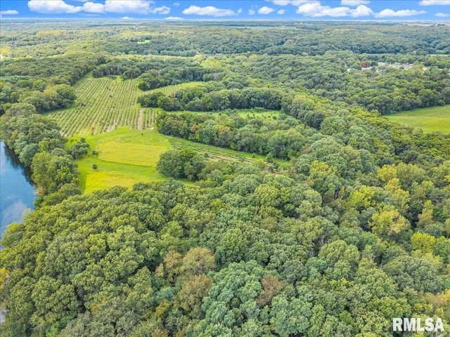 $2,200,000 | 1600 Manson Height Road, Dahinda, IL 61428