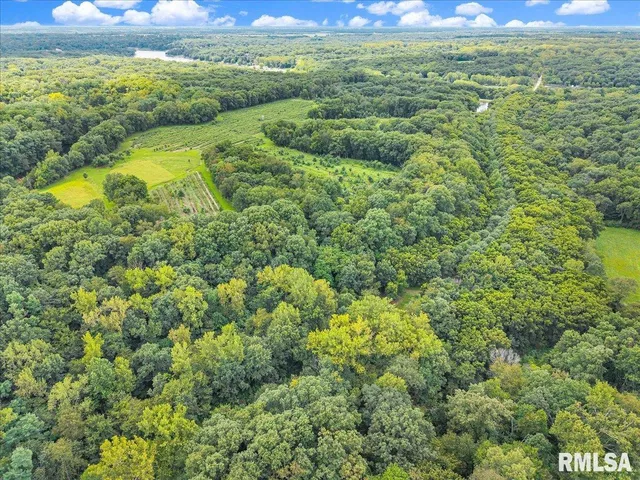$2,200,000 | 1600 Manson Height Road, Dahinda, IL 61428