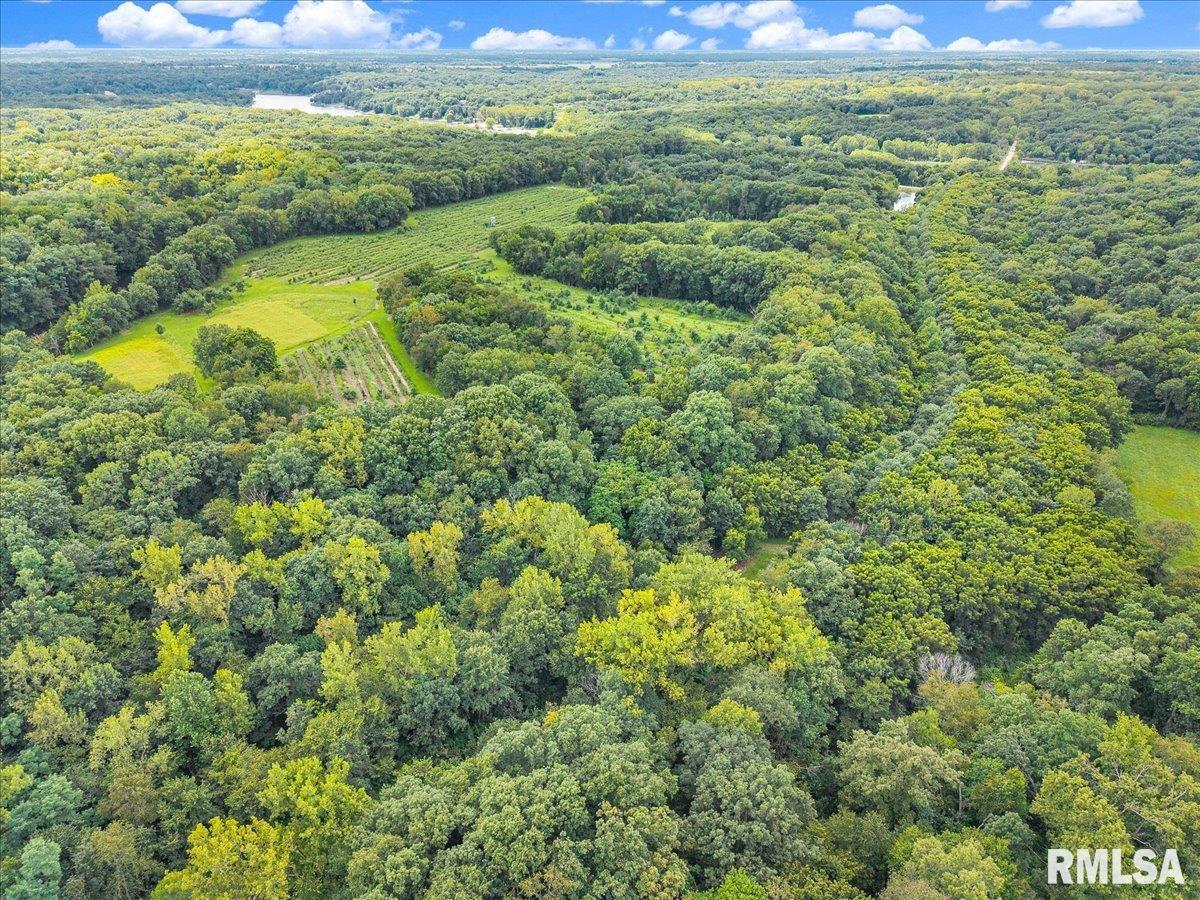 1600 Manson Height Road Dahinda, IL 61428 - Photo 55 of 98