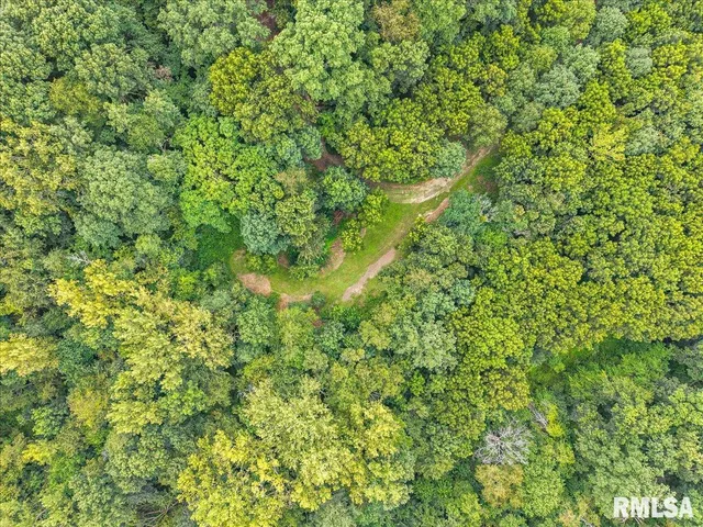 $2,200,000 | 1600 Manson Height Road, Dahinda, IL 61428