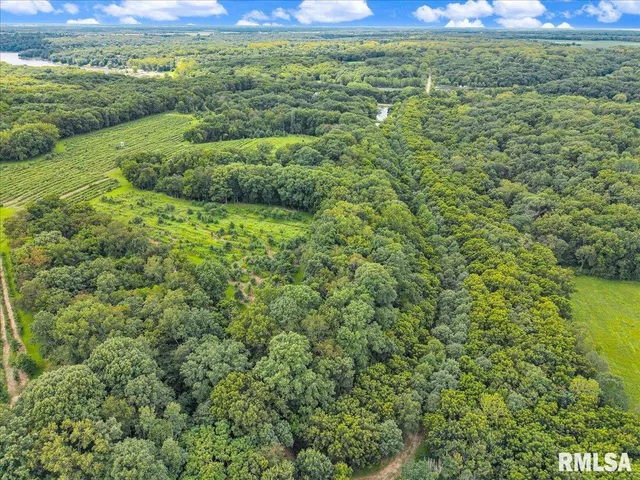 $2,200,000 | 1600 Manson Height Road, Dahinda, IL 61428