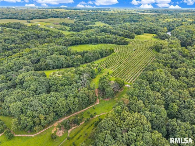 $2,200,000 | 1600 Manson Height Road, Dahinda, IL 61428