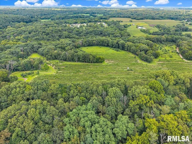 $2,200,000 | 1600 Manson Height Road, Dahinda, IL 61428