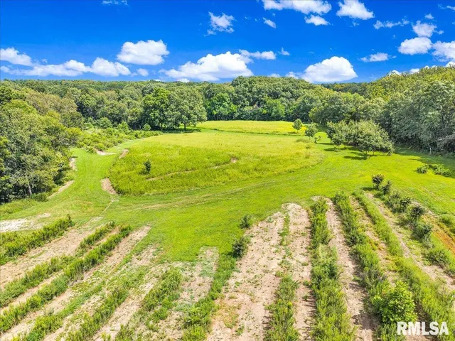 $2,200,000 | 1600 Manson Height Road, Dahinda, IL 61428