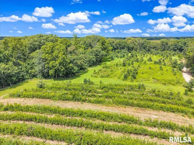 $2,200,000 | 1600 Manson Height Road, Dahinda, IL 61428