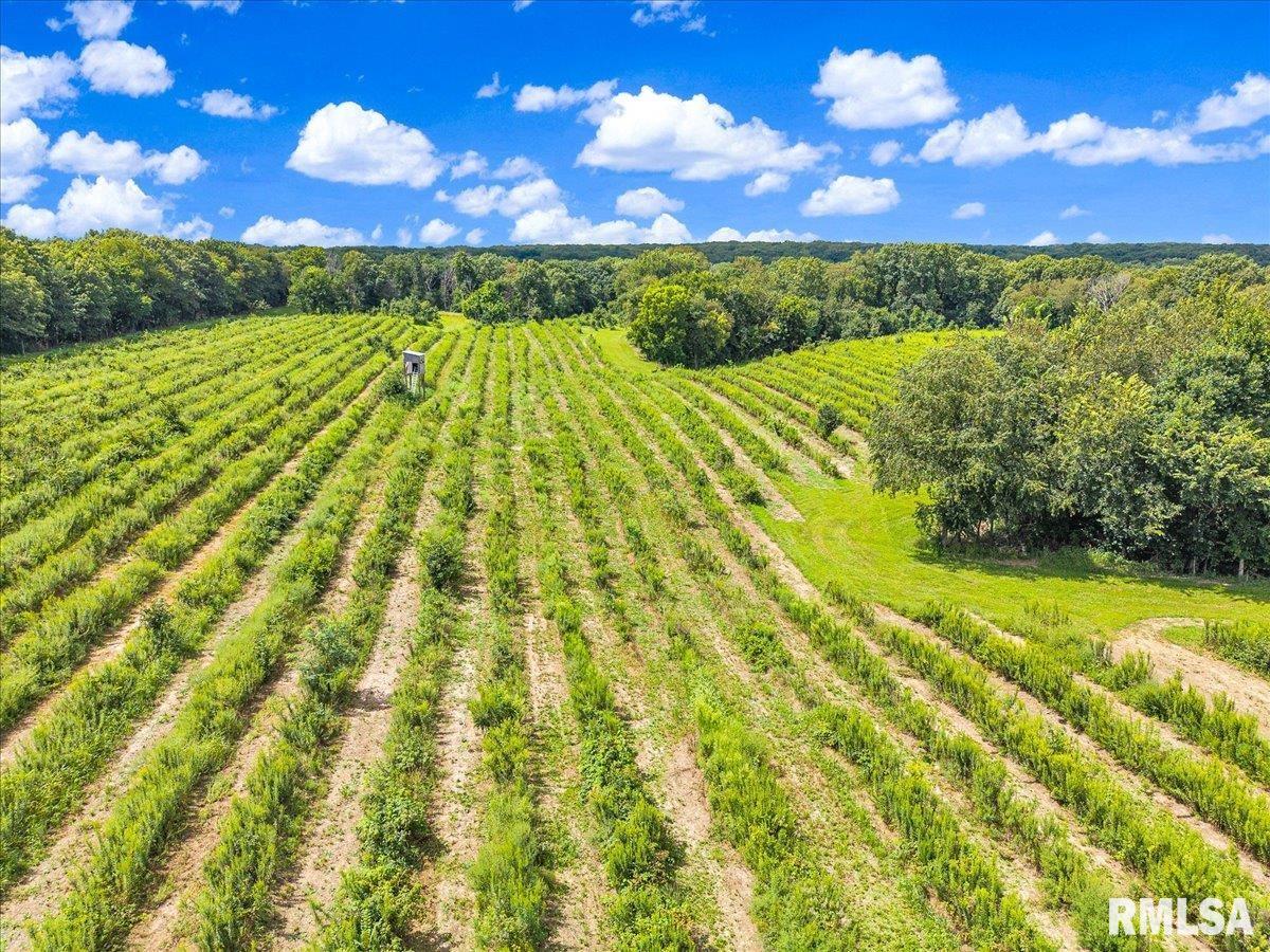 1600 Manson Height Road Dahinda, IL 61428 - Photo 64 of 98