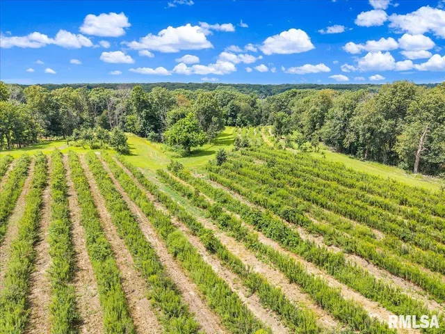 $2,200,000 | 1600 Manson Height Road, Dahinda, IL 61428