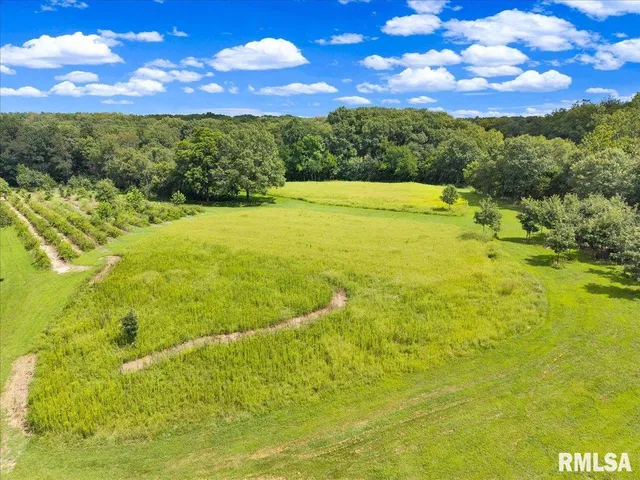 $2,200,000 | 1600 Manson Height Road, Dahinda, IL 61428