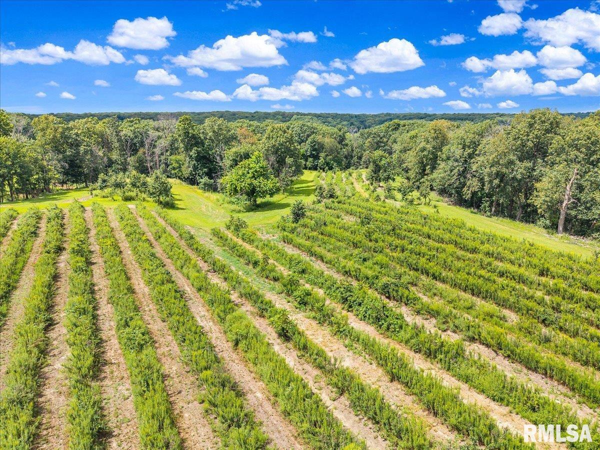 1600 Manson Height Road Dahinda, IL 61428 - Photo 67 of 98