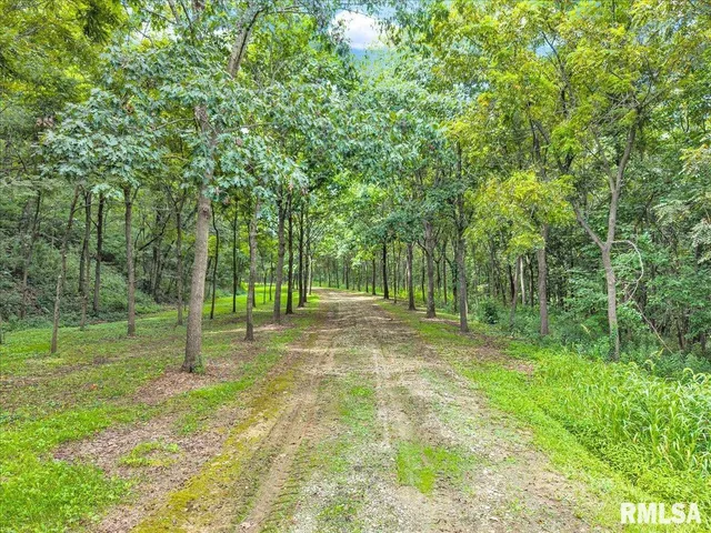 $2,200,000 | 1600 Manson Height Road, Dahinda, IL 61428