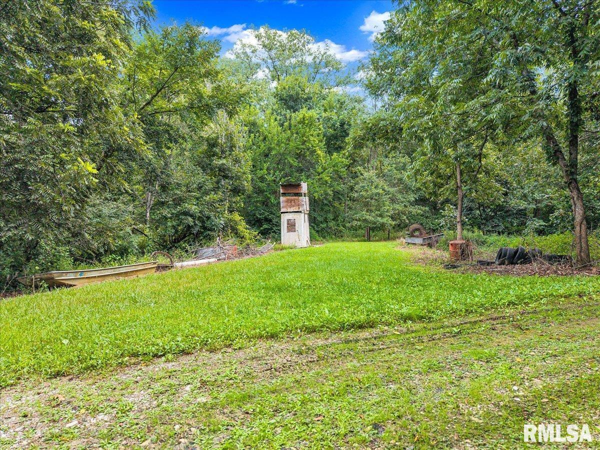 1600 Manson Height Road Dahinda, IL 61428 - Photo 69 of 98