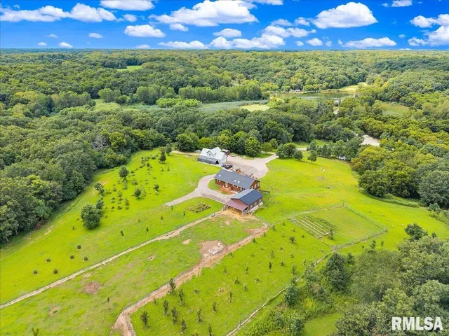 $2,200,000 | 1600 Manson Height Road, Dahinda, IL 61428