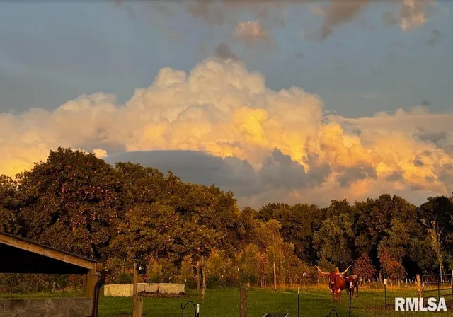 $2,200,000 | 1600 Manson Height Road, Dahinda, IL 61428