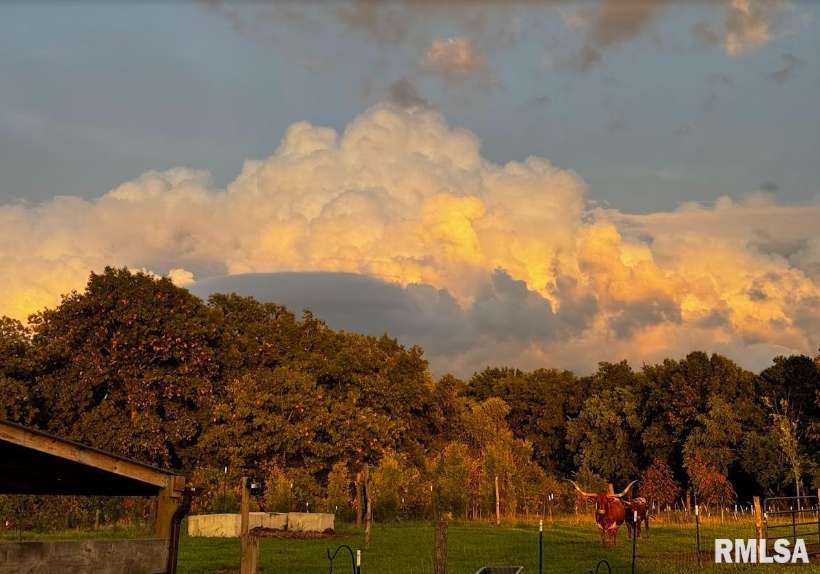 1600 Manson Height Road Dahinda, IL 61428 - Photo 85 of 98