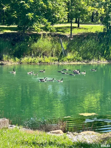 $2,200,000 | 1600 Manson Height Road, Dahinda, IL 61428