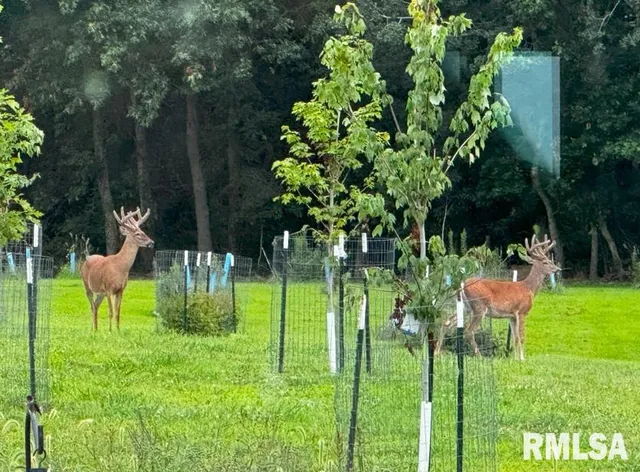 $2,200,000 | 1600 Manson Height Road, Dahinda, IL 61428