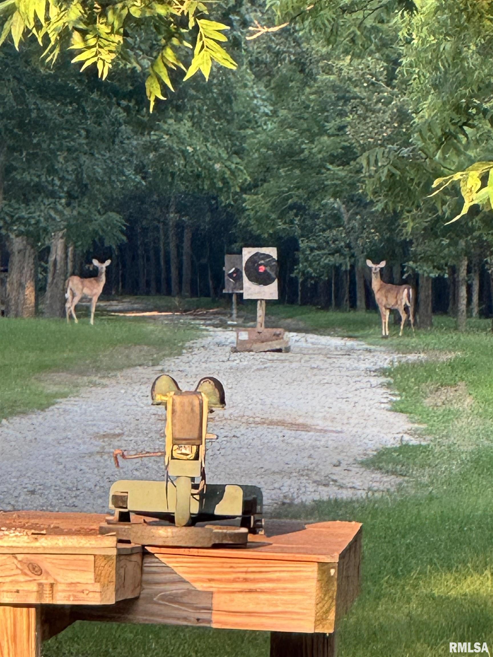 1600 Manson Height Road Dahinda, IL 61428 - Photo 87 of 98