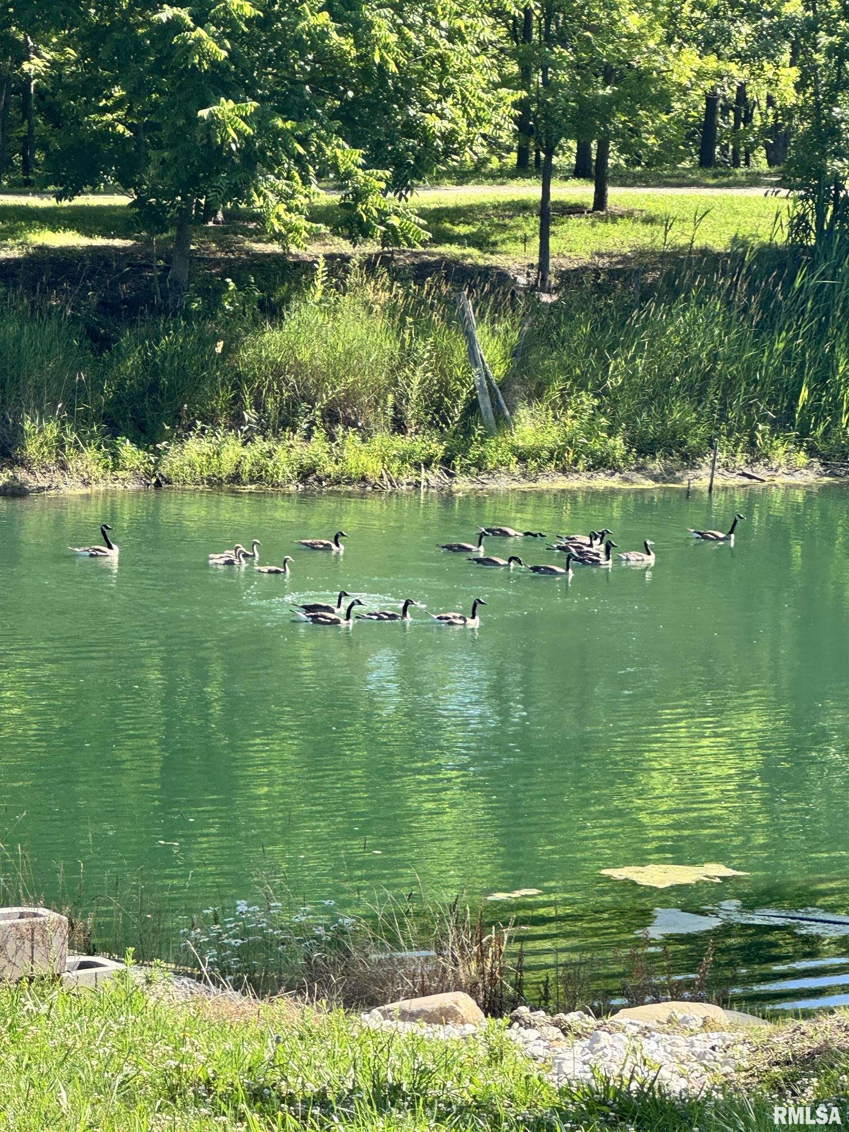 1600 Manson Height Road Dahinda, IL 61428 - Photo 88 of 98