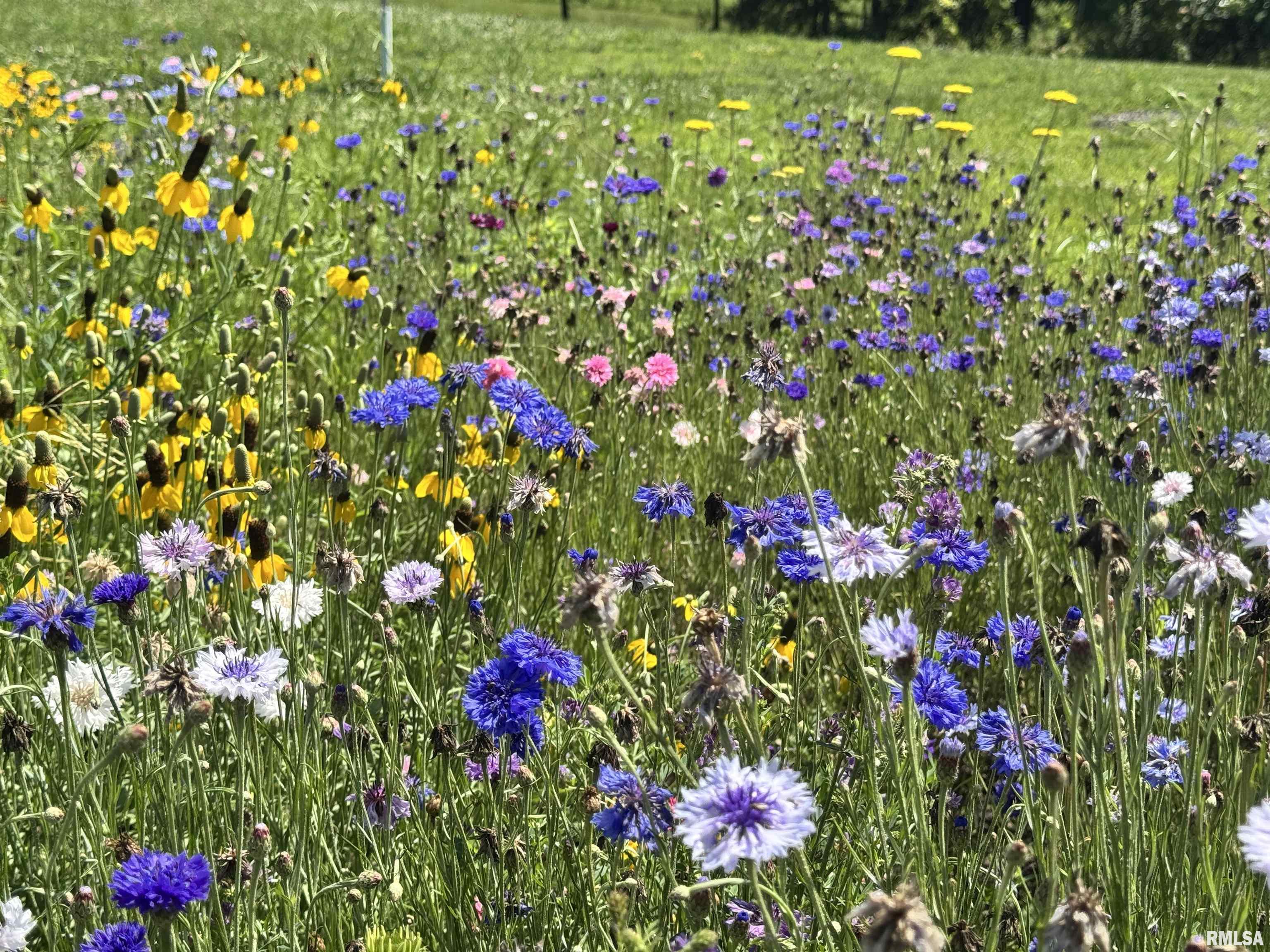 1600 Manson Height Road Dahinda, IL 61428 - Photo 91 of 98