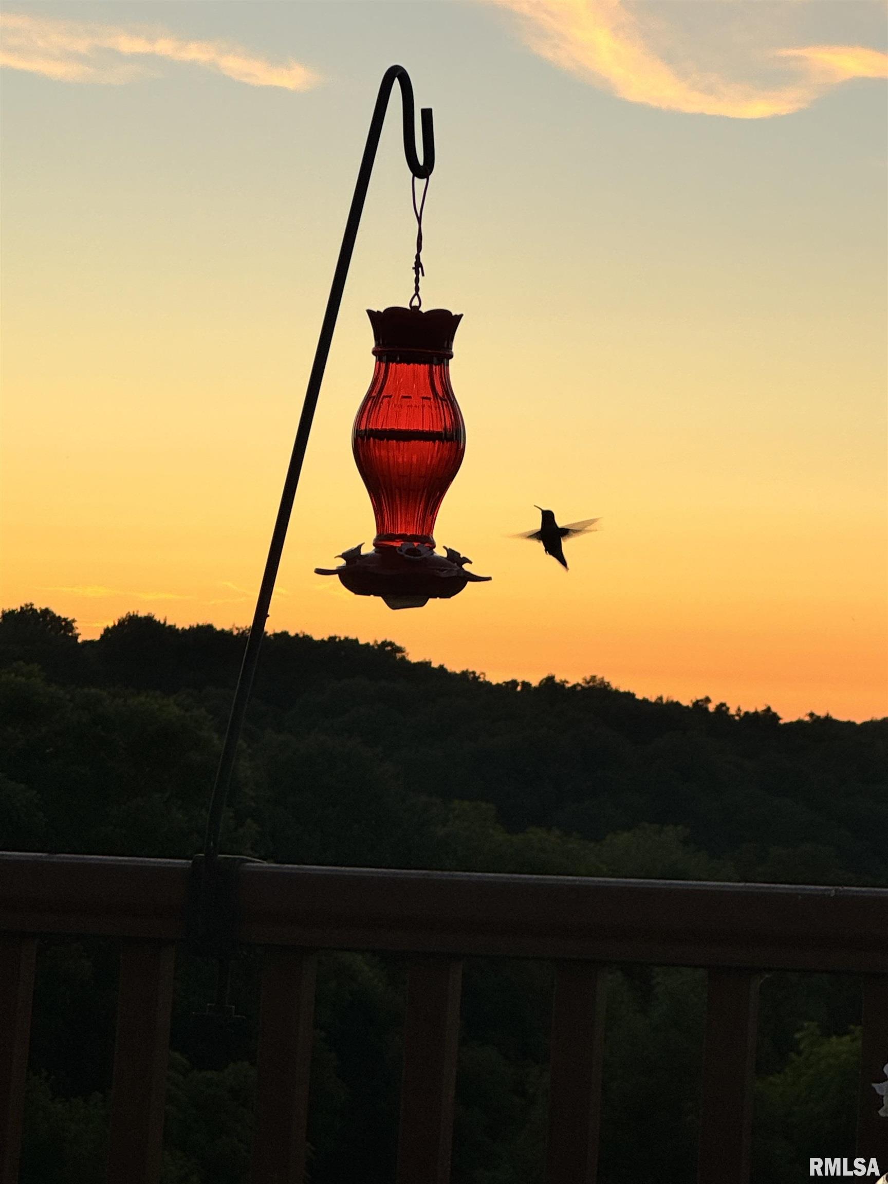 1600 Manson Height Road Dahinda, IL 61428 - Photo 92 of 98