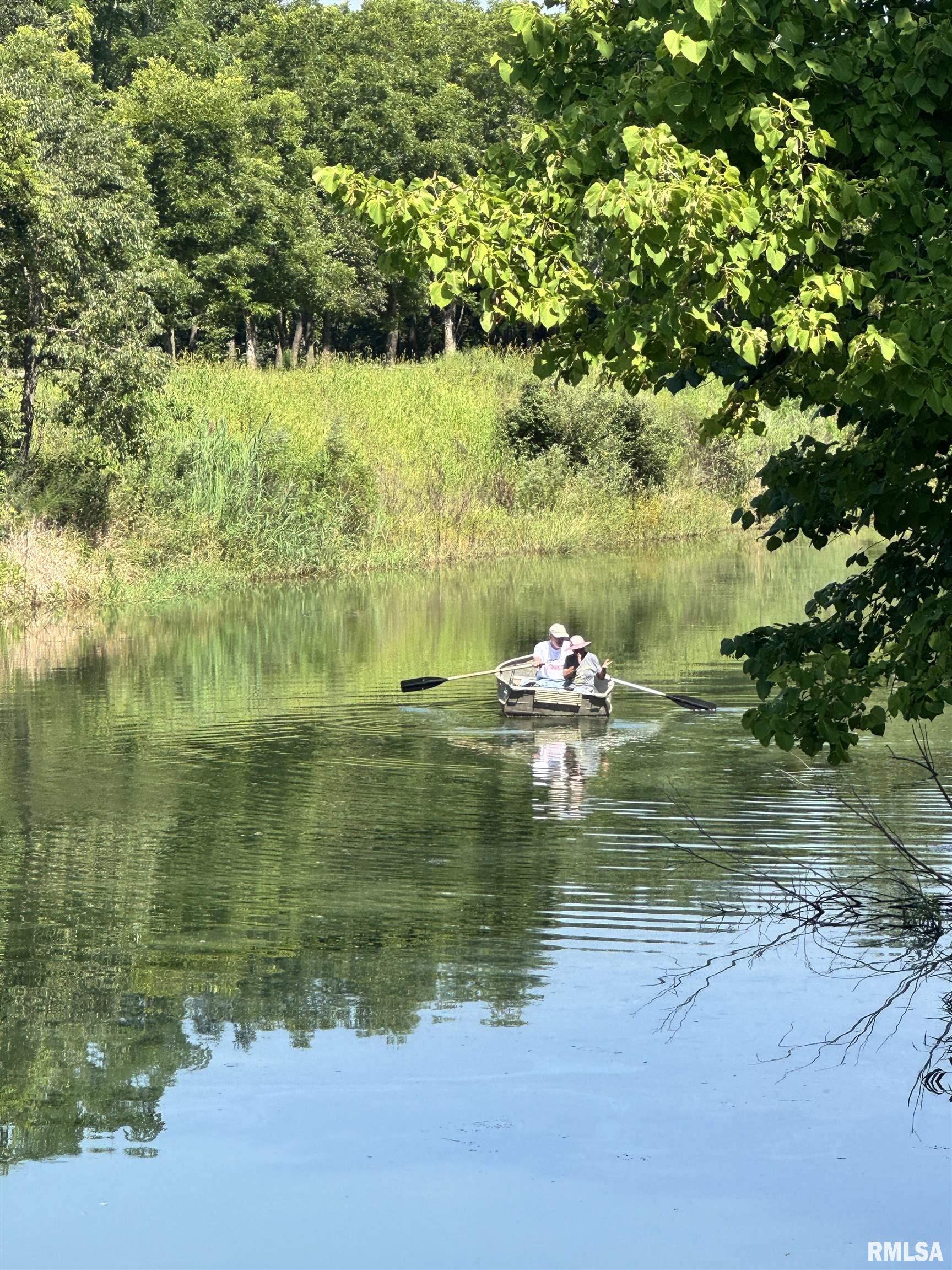 1600 Manson Height Road Dahinda, IL 61428 - Photo 94 of 98