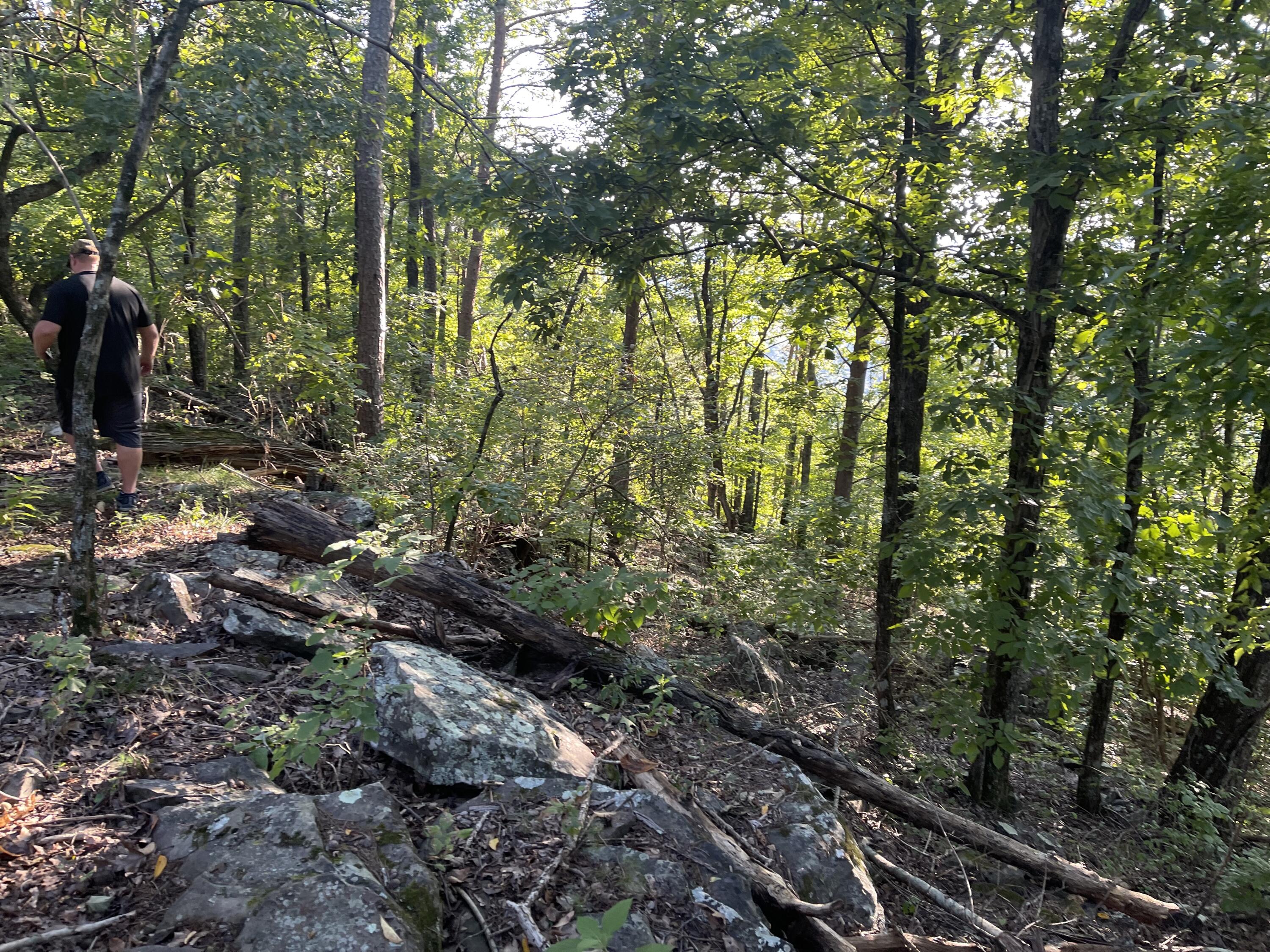 9675 Switchback Trail Ooltewah, TN 37363 - Photo 13 of 24 IMG_4946
