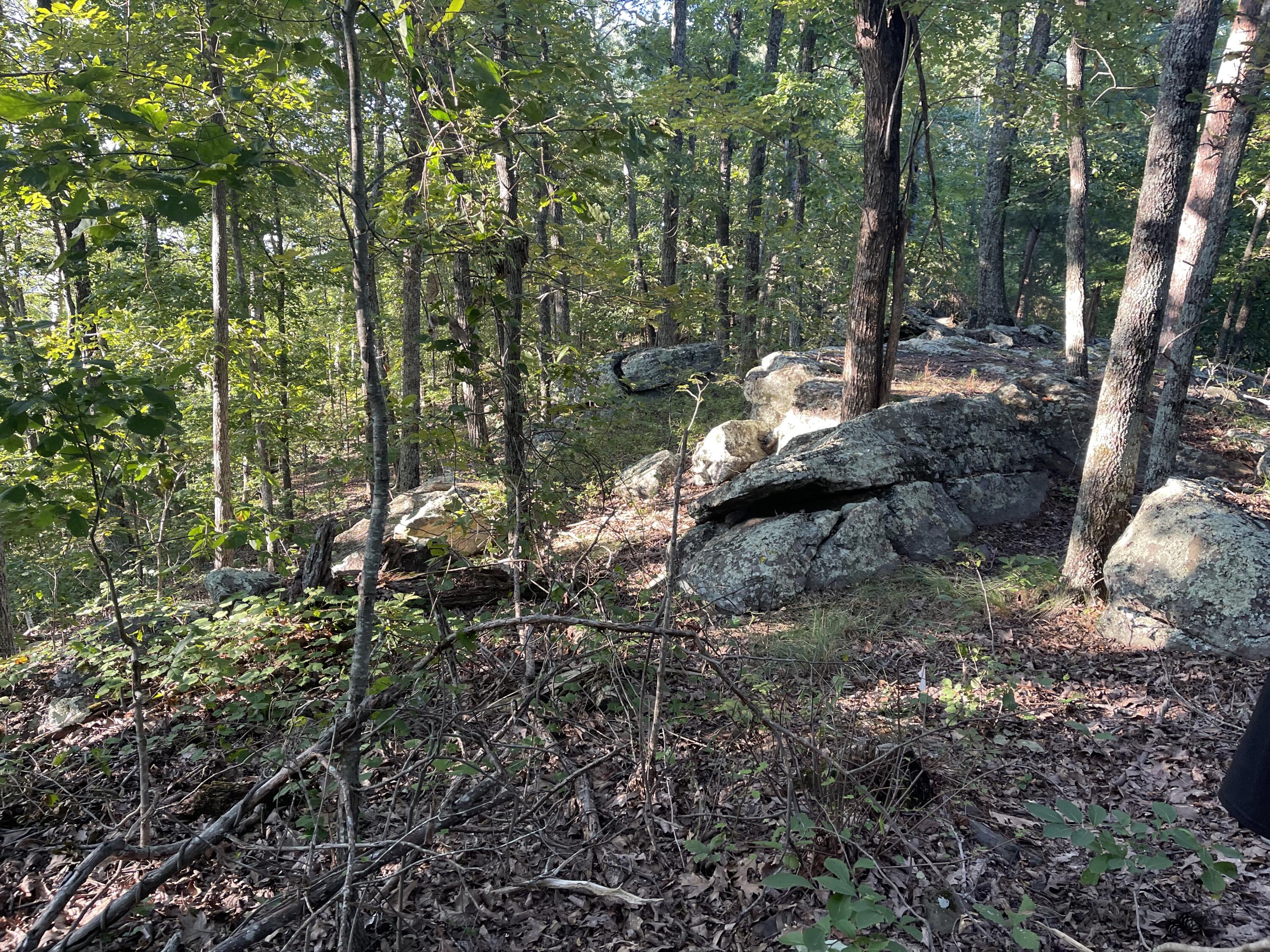 9675 Switchback Trail Ooltewah, TN 37363 - Photo 15 of 24 IMG_4948