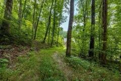 9675 Switchback Trail Ooltewah, TN 37363 - Photo 24 of 24 IMG_6029